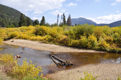 river and fall foliage at Rocky Mountain National Park