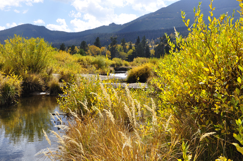 river and fall foliage at Rocky Mountain National Park