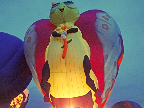lady butterfly hot air balloon
