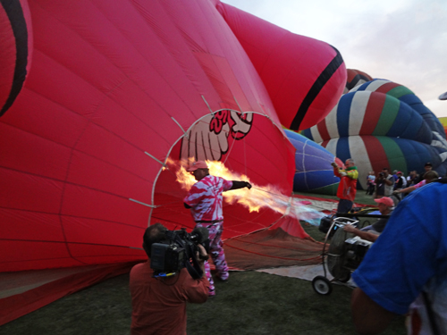 pink elephant hot air balloon feeling the heat