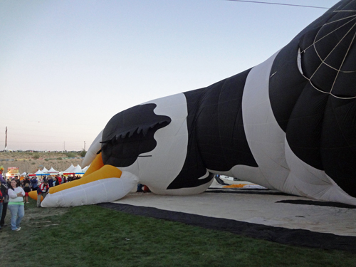 Airabelle is starting to be inflated.