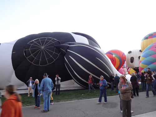 Airabelle is starting to be inflated.