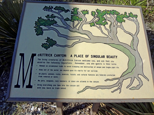 sign about McKittrick Canyon