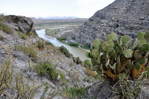 cactus and the Rio Grande
