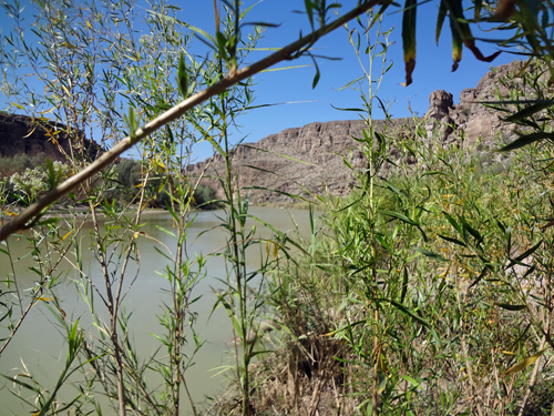 another view of the Rio Grande River