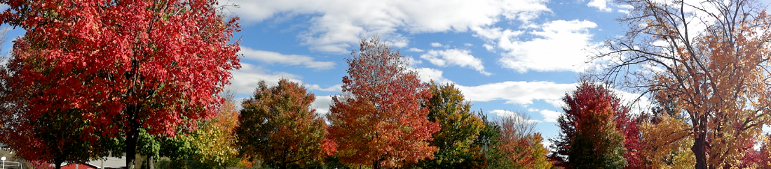 panorama of fall foliage