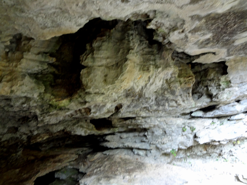 Eden Falls Cave