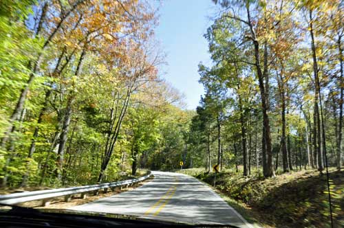 the road and fall foliage