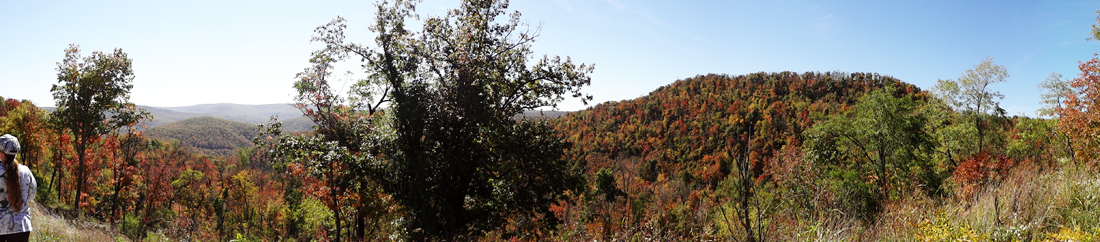 panorama of fall foliage