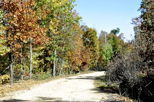 the dirt road and fall foliage