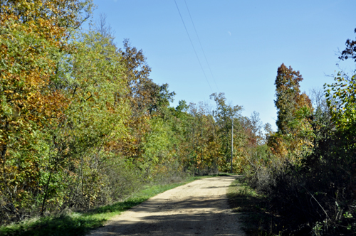 the dirt road and fall foliage