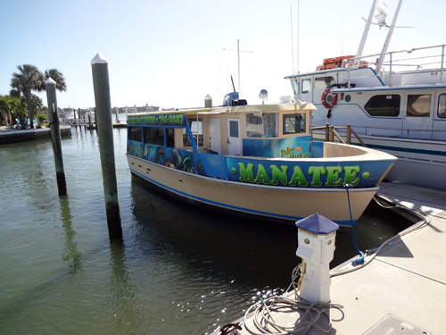 The boat for the manatee cruise