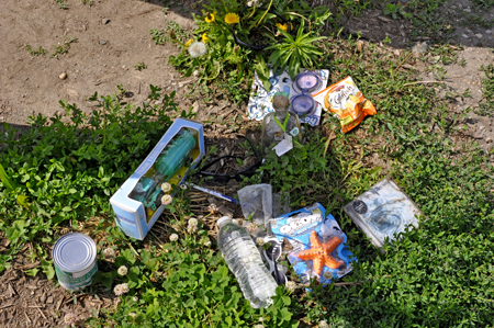 stuff fans left at the entrance to the Buddy Holly crash site