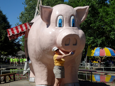 Karen Duquette giving a big pink pig a drink of water