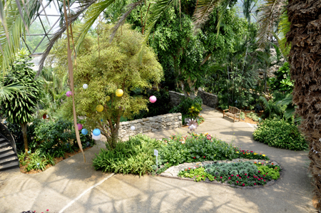 overview of part of the garden
