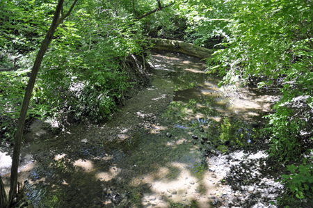 a creek