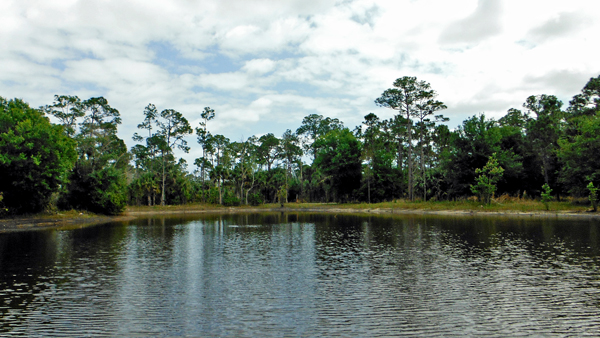the pond at Riverbend Park in Jupiter, Florida