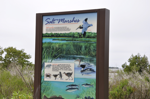 Sign about the Salt Marshes