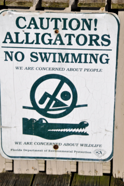 sign: Alligators - no swimming