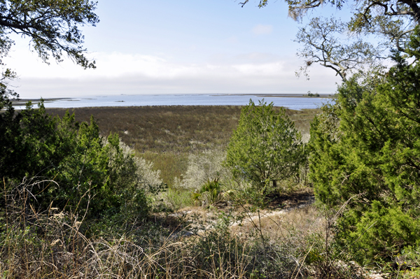 a nice view of the coastal Estuaray and Gulf from the Shell Mound Trail