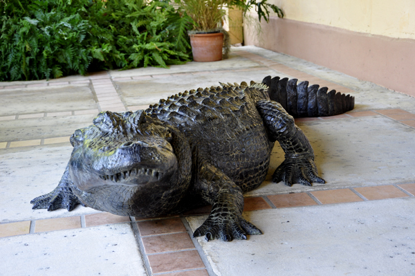 fake alligator