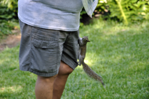 a squirrel climbing on Lee Duquette at Bok Tower Gardens