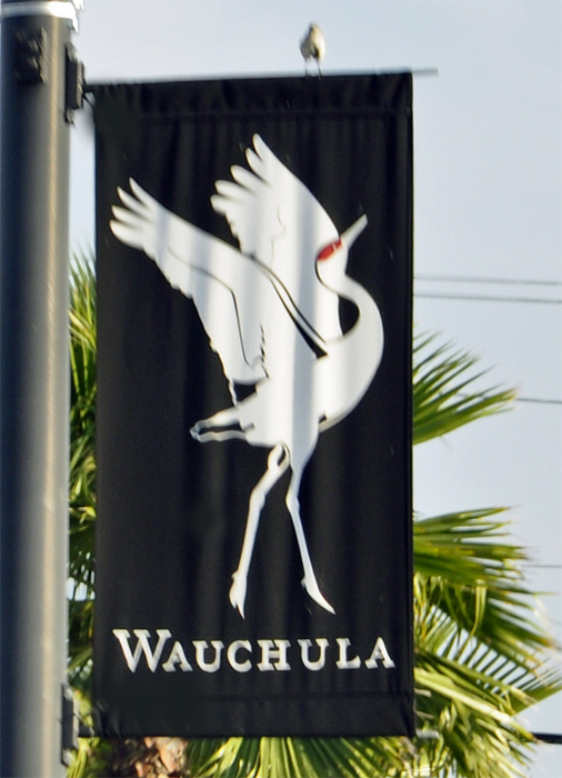 Flag for the city Of Wauchula, Florida