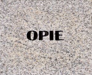 Opie stepping stone