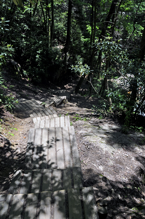 the steep steps just before Blue Hole Falls