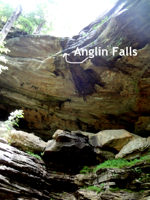 A trickle of water at Anglin Falls