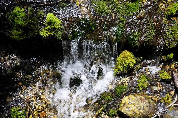 Close-up of the rocks and moss in the spring water 