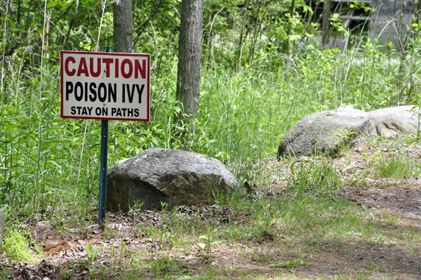 Poison Ivy sign