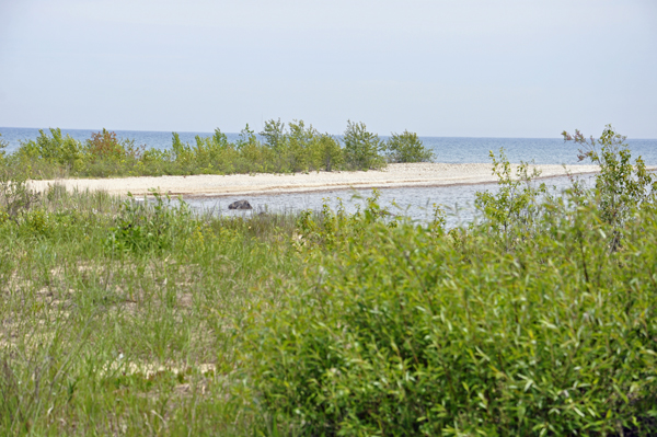 view of Lake Huron by Sturgeon Point Lighthouse