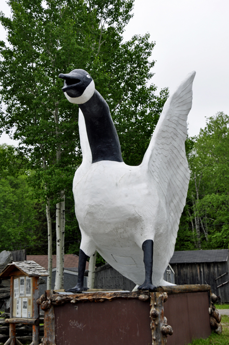 a third Wawa Goose