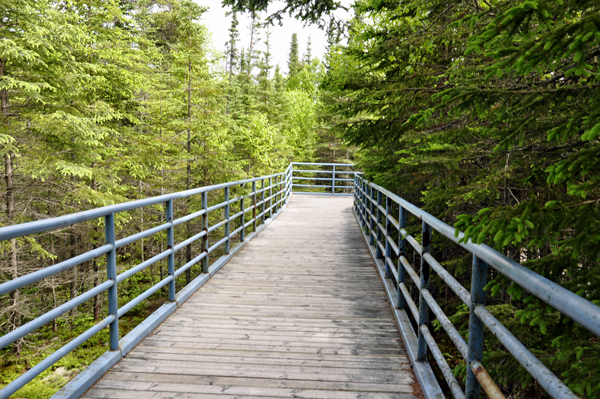 the Boardwalk to the viewing platform