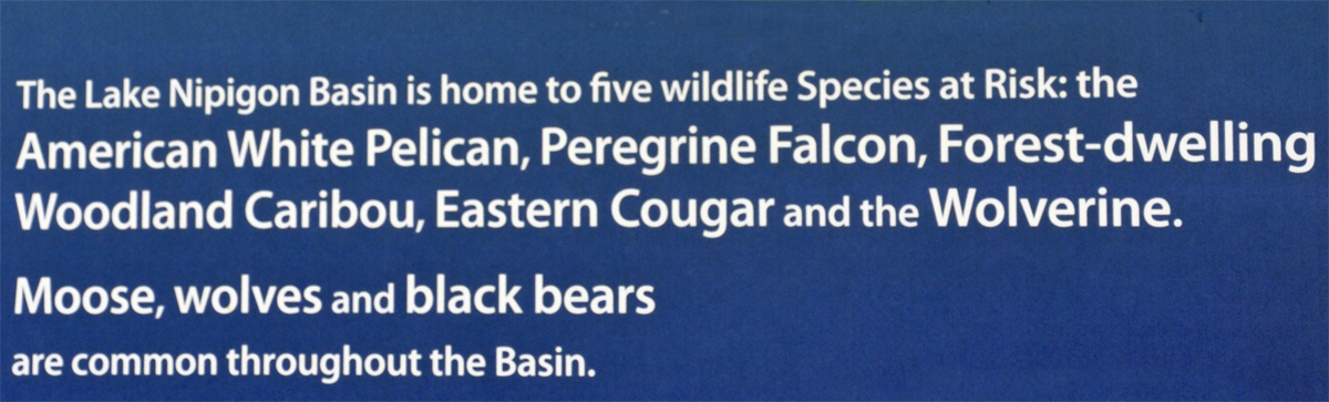 Lake Nipigon Basin sign about wildlife