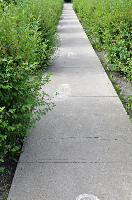 sidewalk of footprints