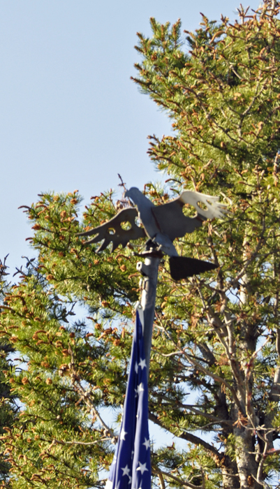 an eagle flag topper