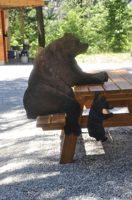 bear and cub at the picnic table
