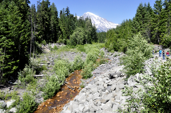 Kautz Creek in Mount Ranier National Park
