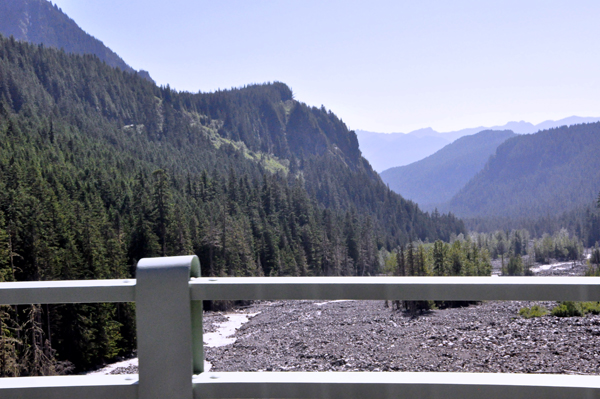 View of Nisqually River