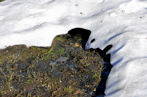 streams of water flowing under hard-caked snow