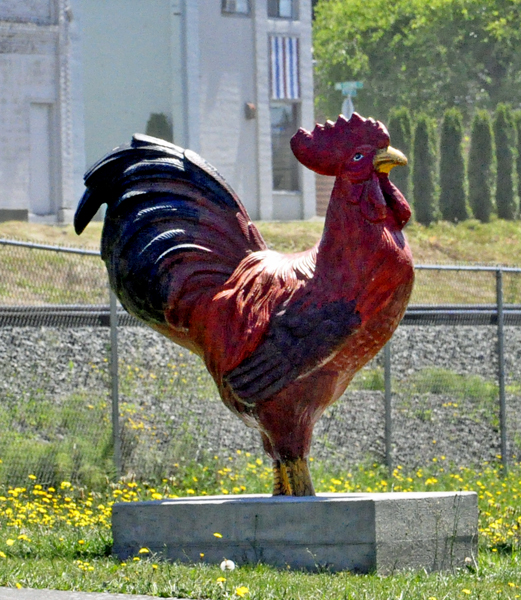 a rooster statue across the street