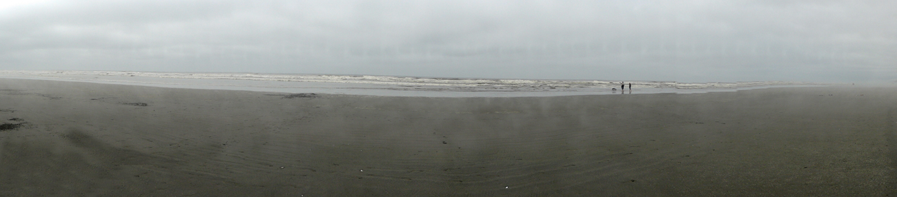 panorama of the ocean and beach