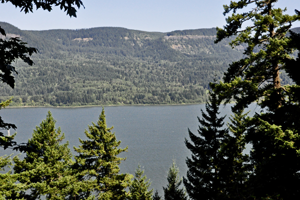 view of the Columbia River from the trail