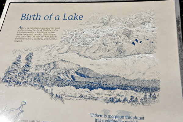 Mount Saint Helens and Castle Lake