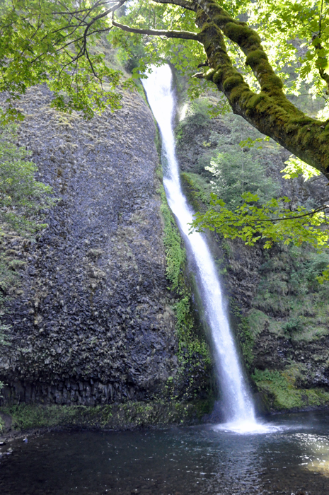 Horsetail Falls in Oregon