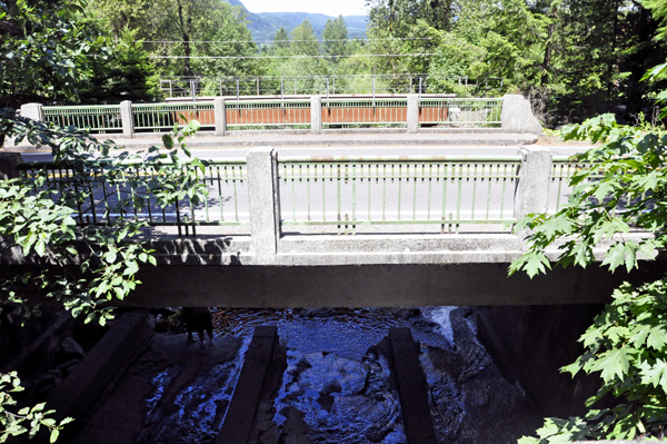 bridges at Oneonta Gorge