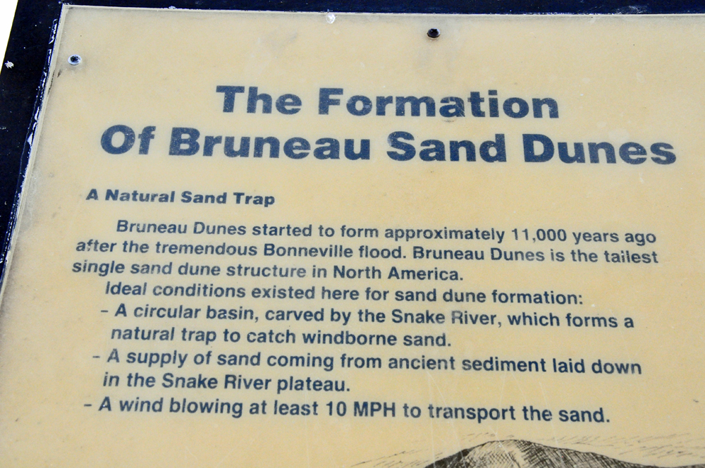 sign about the formation of Bruneau Sand Dunes