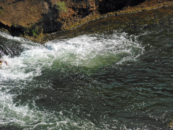 theturbulent waterfall as it hits the Portneuf River
